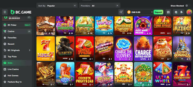 Exploring BC.Game Crypto Casino in Argentina A New Era of Online Gaming -274507869